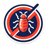 1 1